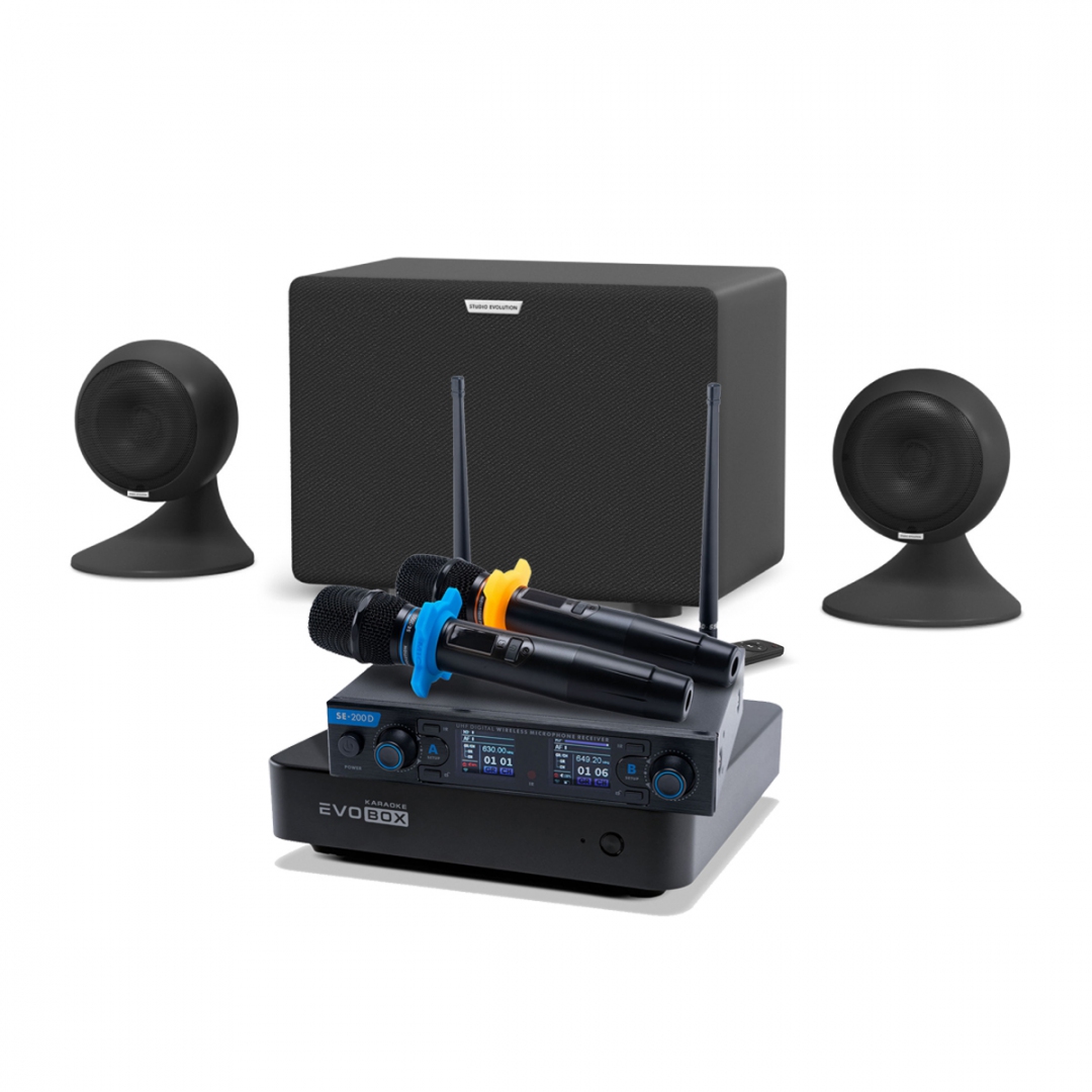 караоке-комплект EVOBOX + EvoSound Sphere 2.1 в Качканаре