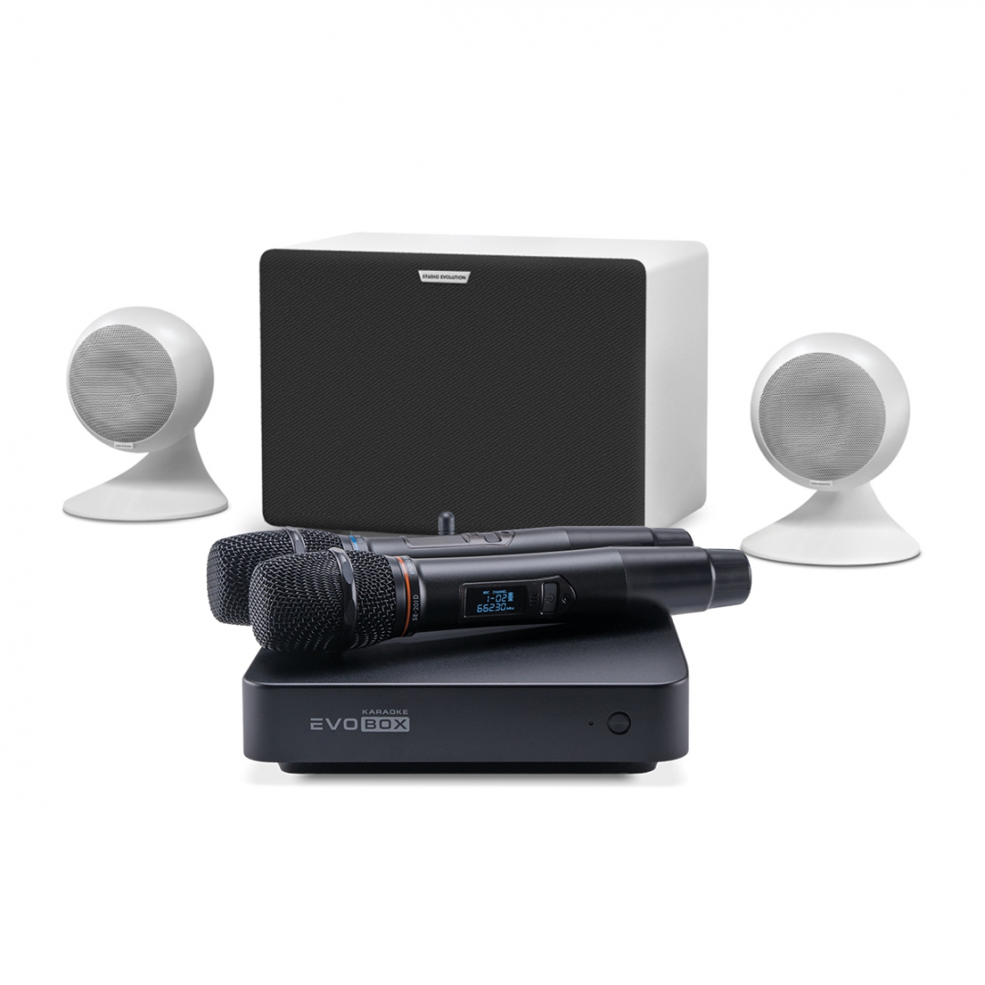 караоке-комплект EVOBOX Classic + EvoSound Sphere 2.1 в Качканаре