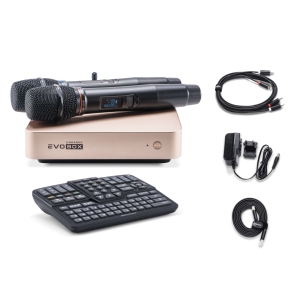 EVOBOX Classic караоке-система для дома в Качканаре