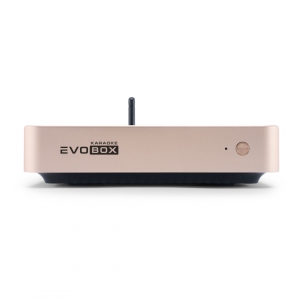EVOBOX Plus караоке-система для дома в Качканаре